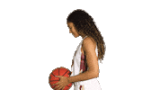 ElonPhoenixAthletics elon phoenix elon basketball Sticker