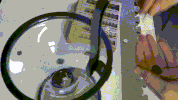 bank piggy GIF