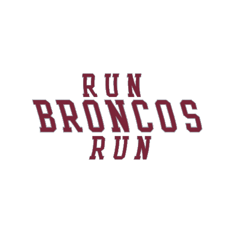 Go Broncos Sticker by Santa Clara Broncos