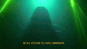 Fabio Porchat Jesus GIF by Porta Dos Fundos