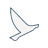 embarkbeyond embarkimmersion embarkbeyond embarkbeyondbrasil Sticker