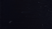 Team Usa Sport GIF by U.S. Ski & Snowboard Team