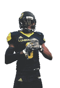 Northern Arizona University Football Sticker by NAU Social