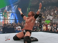 wwe sports wwe wrestling summerslam GIF