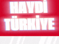 Turkey GIF by Socinflu