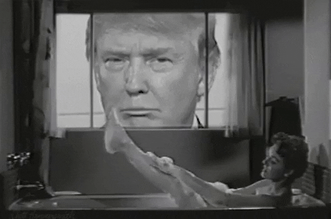 Donald Trump GIF by Squirrel Monkey