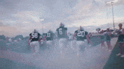 New Trier GIF by NTHS