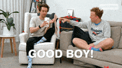 Happy Good Boy GIF by Gogglebox Australia