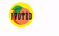 gabriellemertz vote voting peach georgia GIF