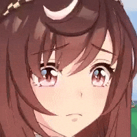 Buena Vista Umamusume GIF