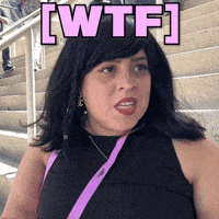 What The Hell Wtf GIF