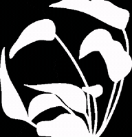 Monalisaclv plants monalisa GIF