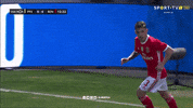 Sorry Sl Benfica GIF by Sport Lisboa e Benfica