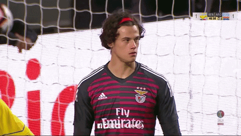 sl benfica slbgifs GIF by Sport Lisboa e Benfica