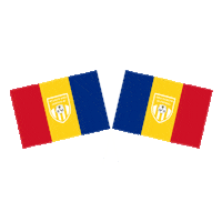 Flag Romania Sticker by OEIF
