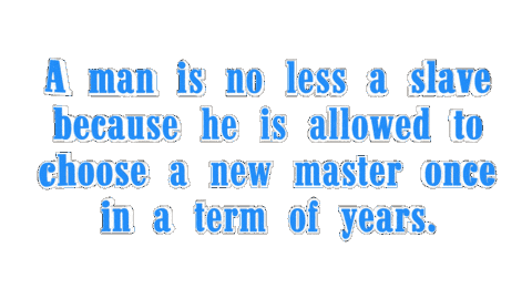 Politics Punk Sticker