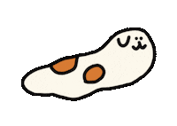 bridge_chiao 森寫真 chiaobridge 陳橋 Sticker