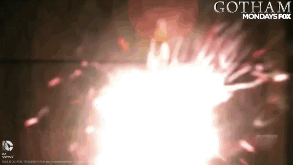 gotham GIF by Fox TV