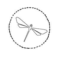 Pole Dance Sticker by Dragonflybrand