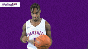 Purple Aces Evansville GIF by UE Athletics