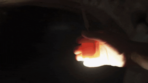 bvglvdy giphyupload GIF