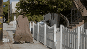 GIF by Adult Swim