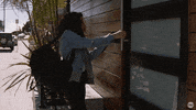 animalkingdom  GIF