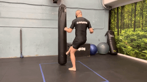 ritchieyip giphygifmaker kickboxing heavy bag hook kick GIF