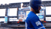 Baseball Mlb GIF by Toronto Blue Jays