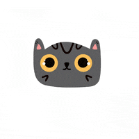 eladoodles cat gato doodles amigo GIF