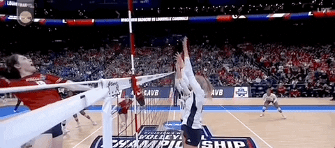 Volleyball Wisconsin GIF by NCAA Championships