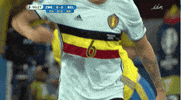 euro 2016 GIF by Sporza