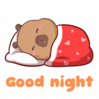 Happy Good Night GIF
