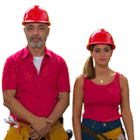 Channel 9 Harry Sticker by The Block