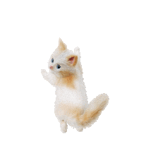 KittenSoftIreland cat animal jump kitten Sticker