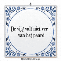 Nl Wijsheid GIF by Tegelspreuken.nl