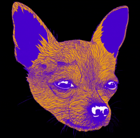 LaGabs illustration chihuahua perrito dogart GIF