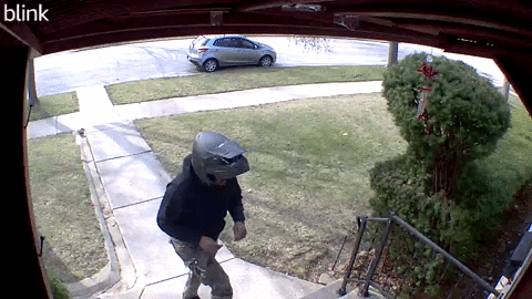 zinger94 giphygifmaker GIF