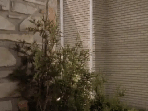 nickrewind giphydvr nicksplat are you afraid of the dark giphyareyou002 GIF