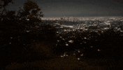 Los Angeles Dog GIF
