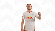 Bow And Arrow Omg GIF by RB Leipzig