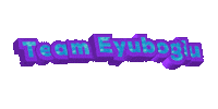 Gokce Eyuboglu Sticker