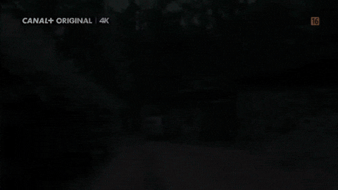 Friends GIF by CANAL+ Polska