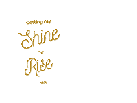 Detox Reset Sticker by RAW Fountain Juice