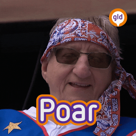 OmroepGelderland giphyupload achterhoek Tante omroep gelderland GIF