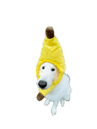 Banana Funny Dog Sticker