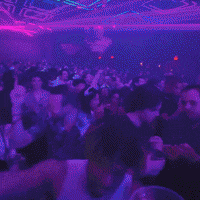 Vibing Night Out GIF