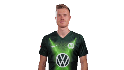 Lets Go Soccer Sticker by VfL Wolfsburg