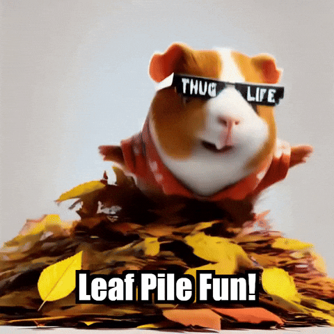 GIF by Guinea Gambino