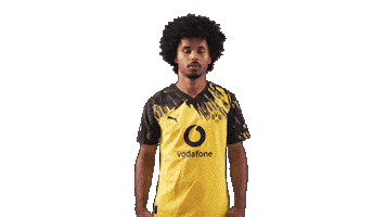 Borussia Dortmund Football Sticker by Bundesliga